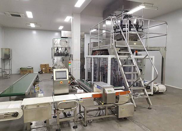 迈驰源头厂家 全自动给袋式颗粒包装机 真空包装实施方案